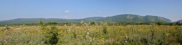 Avantura do homoljskog zlatnog grada